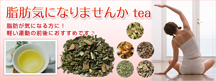 【ダイエット】脂肪燃焼しませんかtea【マテグリーン,フェンネル,リンデンウッド,etc】
