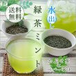 画像1: 水出し 緑茶ミント かぶせ茶×ペパーミント スティックパック4g×12包 三重県産 伊勢茶の新茶使用 (1)