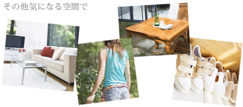 画像7: 【アロマスプレー】アウトドア バズオフ アロマスプレー 30ml スプレー + 90ml 詰め替え用 リフィル 虫除けスプレー (7)