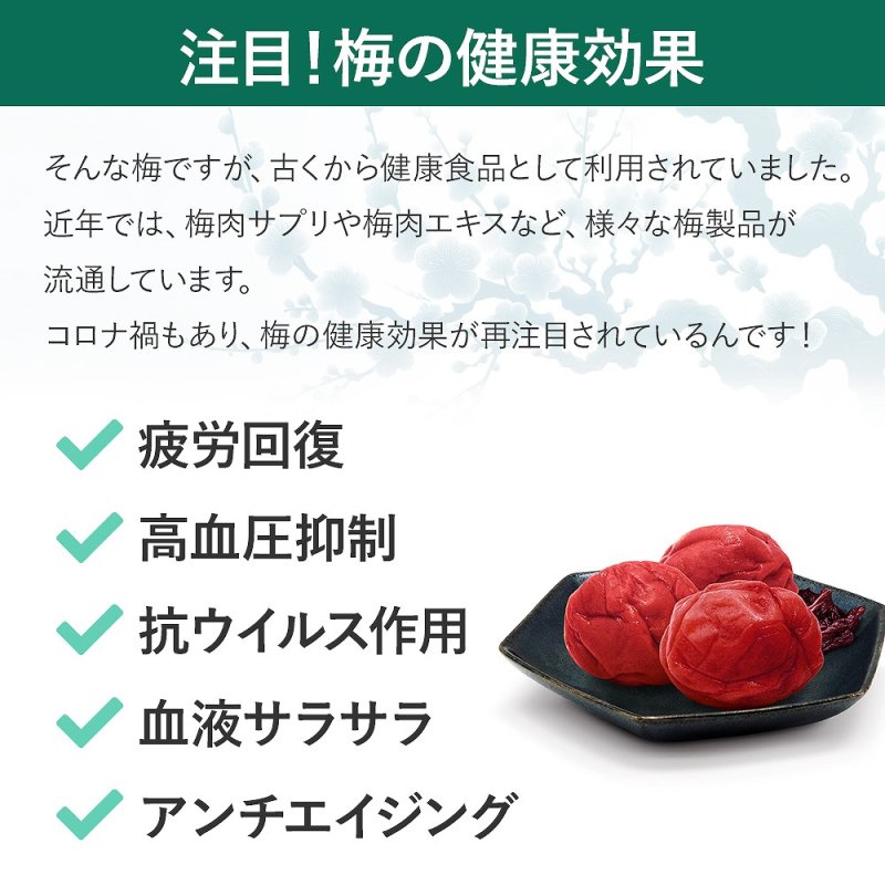 画像4: ルイボスティー グリーンルイボスうめ 水出し ハーブティー 4g×12包 最高級オーガニックルイボス茶葉× 紀州南高梅 梅干し スティックパック サウナ ドリンク 整う ととのう サウナー 水分 補給 アイスティー マタニティフード認定 (4)