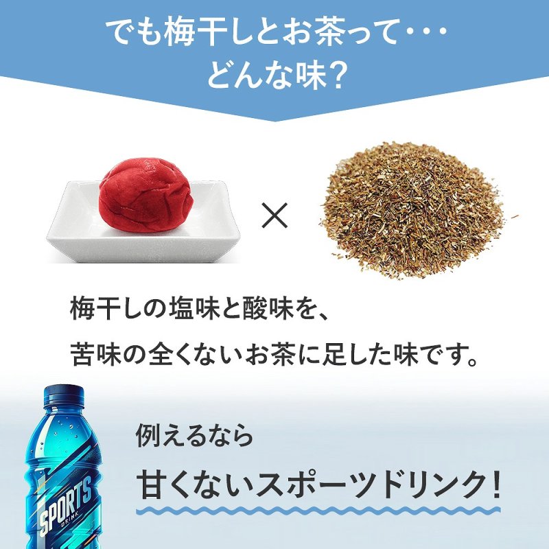 画像6: ルイボスティー グリーンルイボスうめ 水出し ハーブティー 4g×12包 最高級オーガニックルイボス茶葉× 紀州南高梅 梅干し スティックパック サウナ ドリンク 整う ととのう サウナー 水分 補給 アイスティー マタニティフード認定 (6)