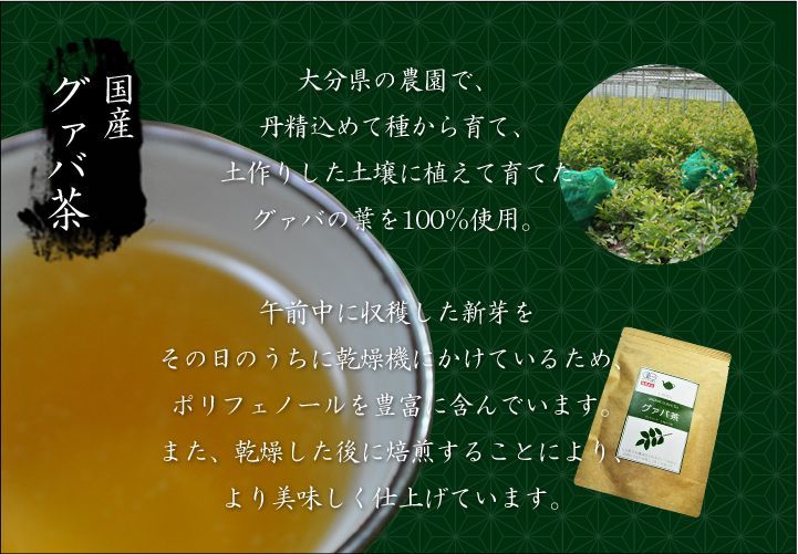 国産グァバ茶