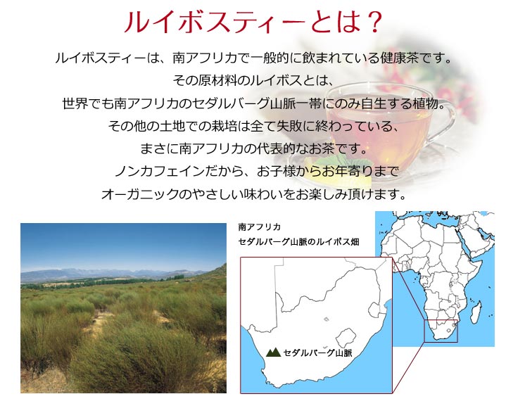 ルイボスティーとは