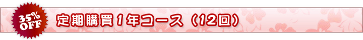 1年コース