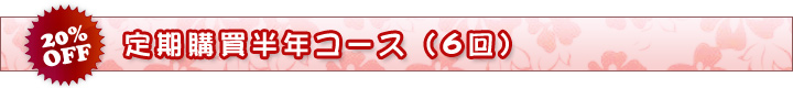 半年コース