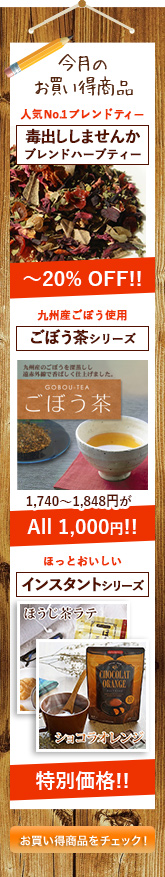 今月のお買い得商品